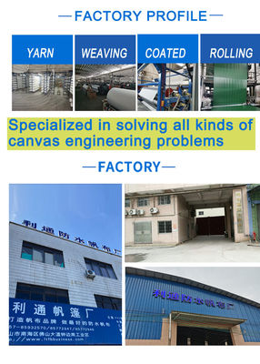 PE Tarpaulin China Manufacture Waterproof Fabric Lightweight Plastic Tarp
