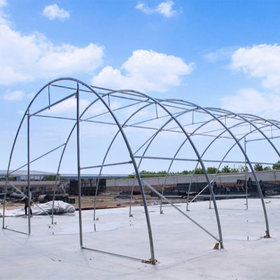 Litong Outdoor Agricultural Greenhouses Garden Plant Transparent Poly Tunnel Warehouse Pvc Tarpaulin