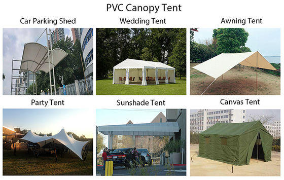 Litong Outdoor Agricultural Greenhouses Garden Plant Transparent Poly Tunnel Warehouse Pvc Tarpaulin